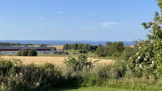 Houses in Båstad - photo 3